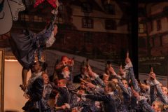 260124_wlfoaset_fotos-fkg-fremdensitzung-max-dellemann-46-scaled