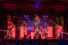 260214_wlfoaset_fotos-vereinsfastnacht-petersberg-max-dellemann-11